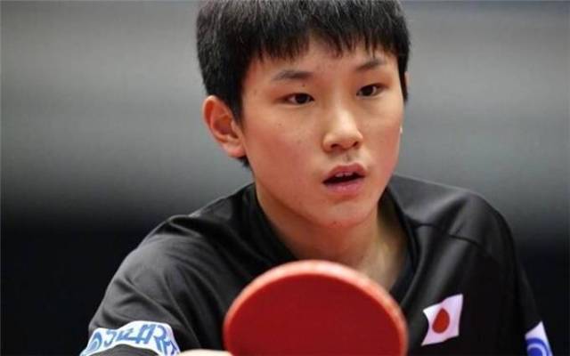 岁的本土新 岁的本土新